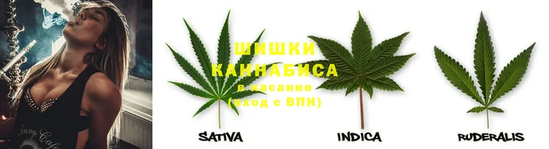 Шишки марихуана Amnesia  наркотики  Каневская 